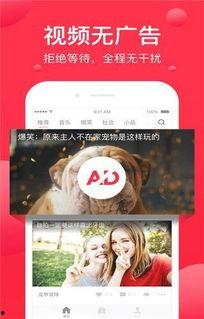 娱乐吃瓜芋泥视频下载,芋泥吃瓜达人教你轻松下载娱乐视频