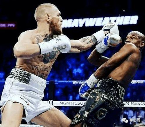 娱乐嘴炮吃瓜视频下载